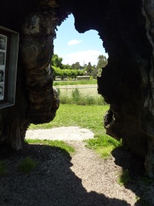 THE LENS OF ADOPTION ALTERS THE VIEW